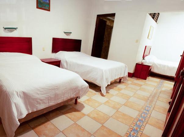 Hotel Nueva Antequera Oaxaca 外观 照片