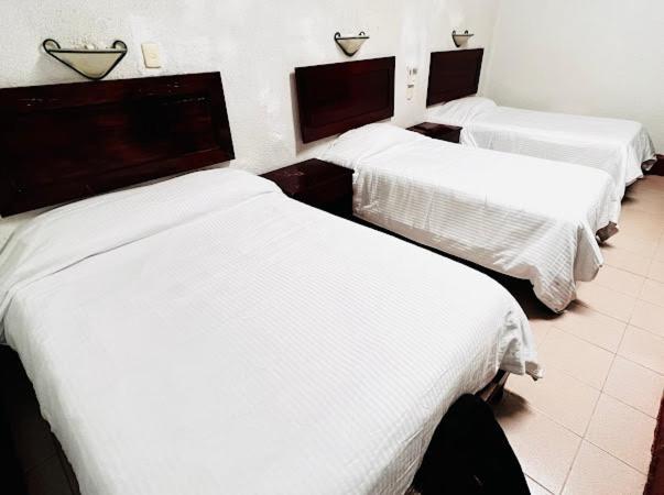 Hotel Nueva Antequera Oaxaca 外观 照片